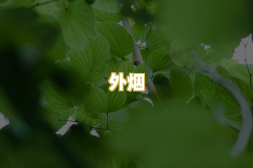 外烟